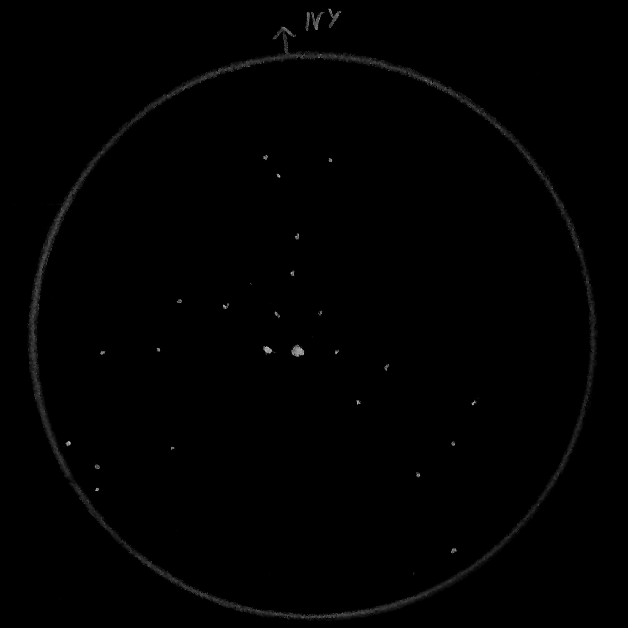 NGC457 (Bagoly-halmaz)