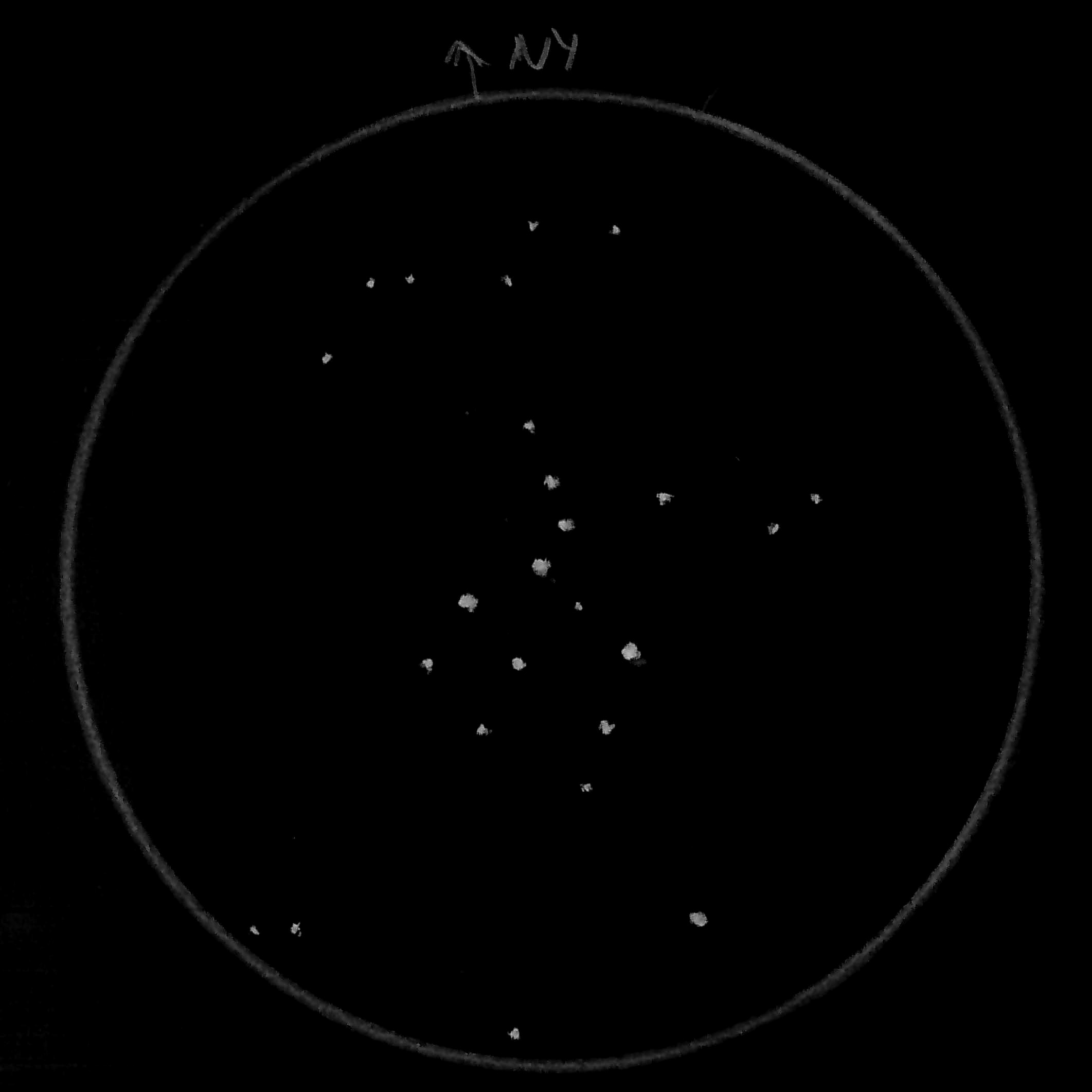 IC 4665 (Nyári méhkas)