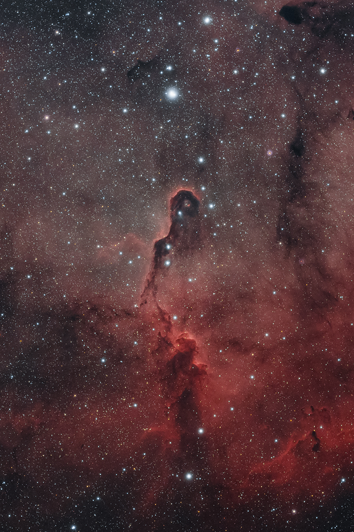IC1396 - Elefántormány-köd