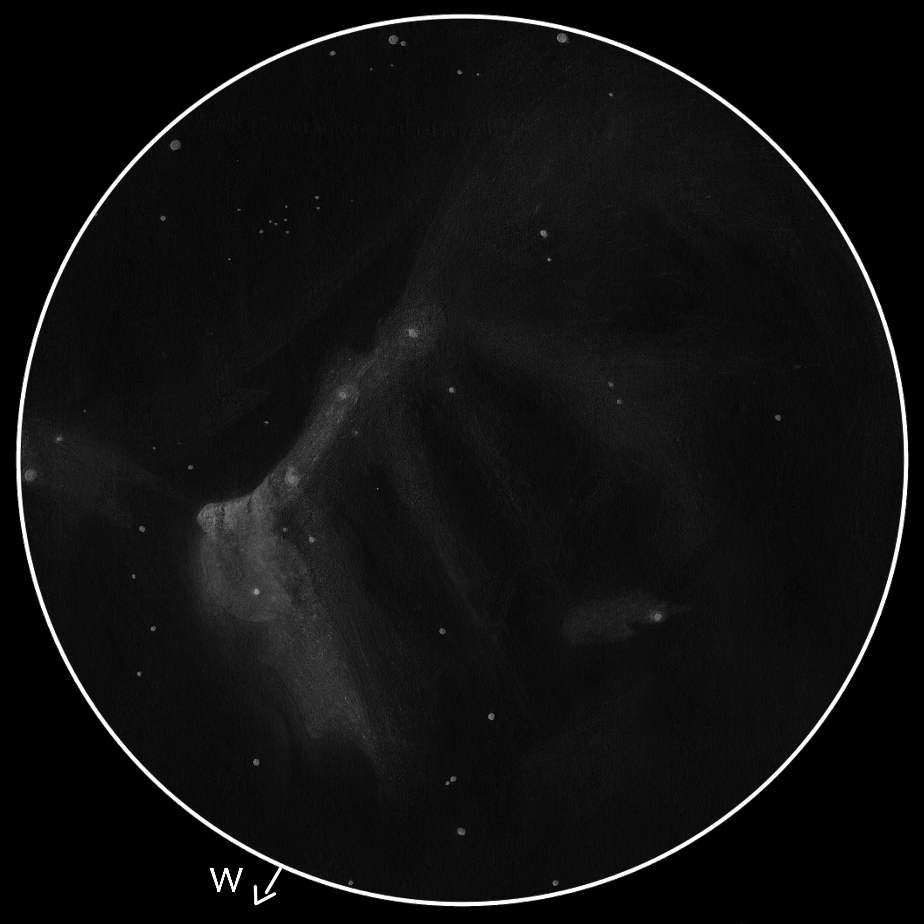 LDN 935, B355 SK, NGC 7000, LBN 354, LBN 356, DF Cyg