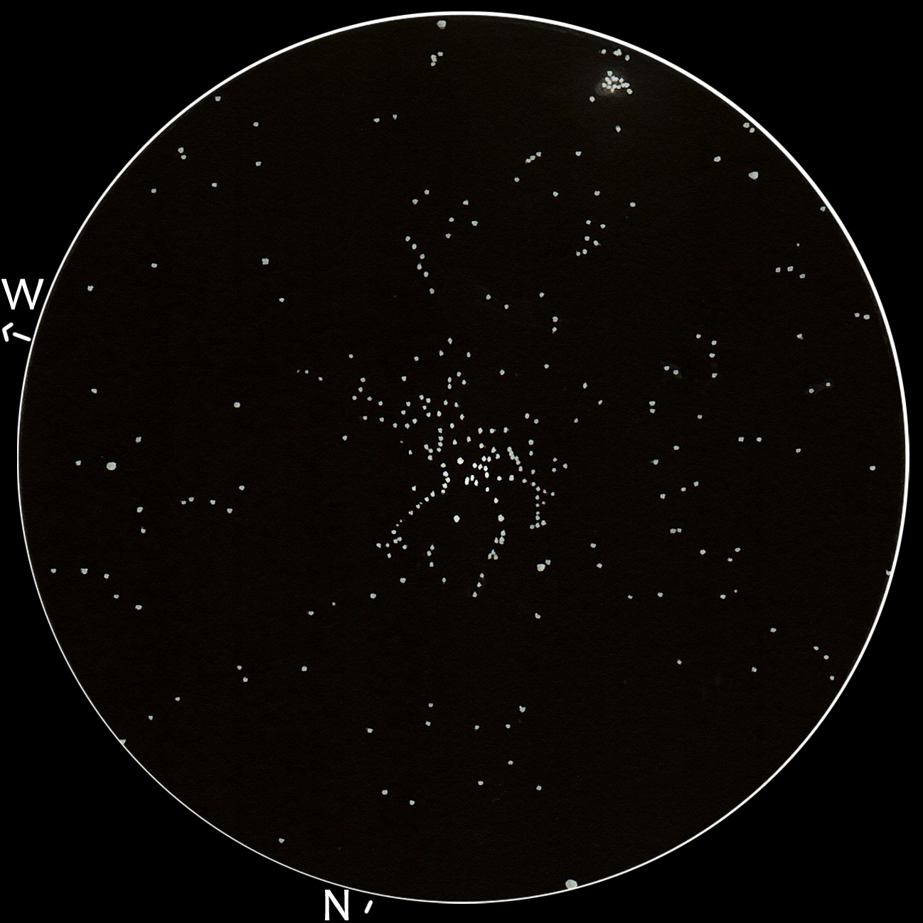 M38, NGC 1907 — Tengeri csillag-halmaz