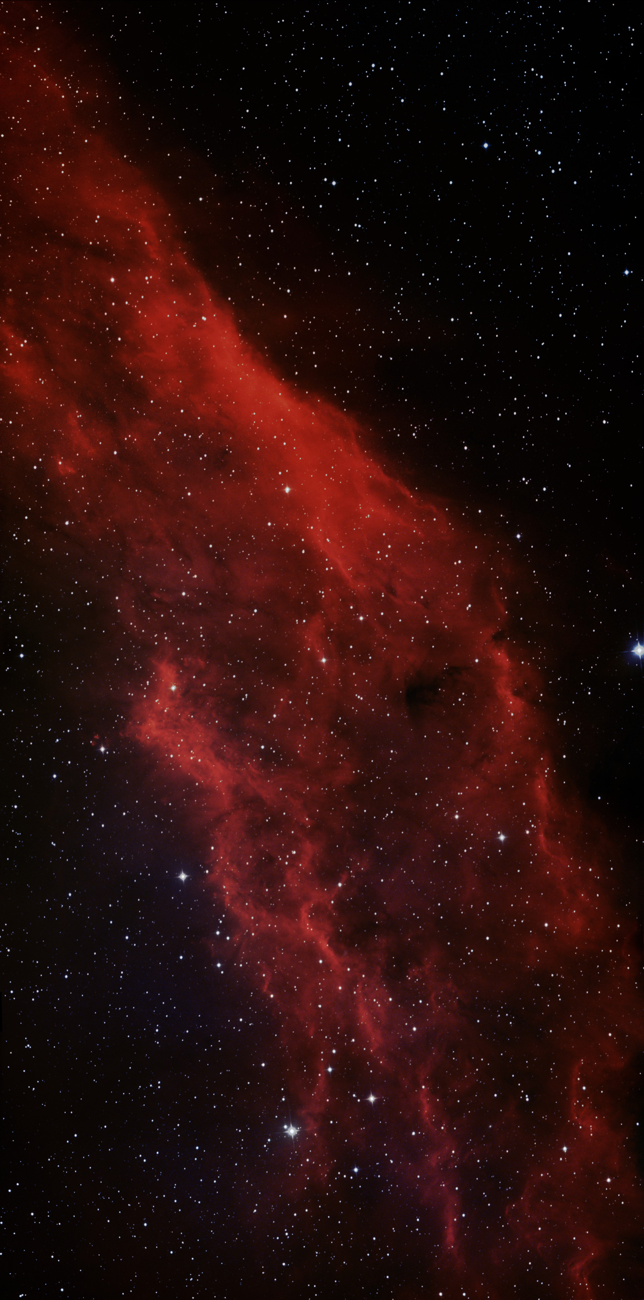 NGC 1499 (Kalifornia-köd)