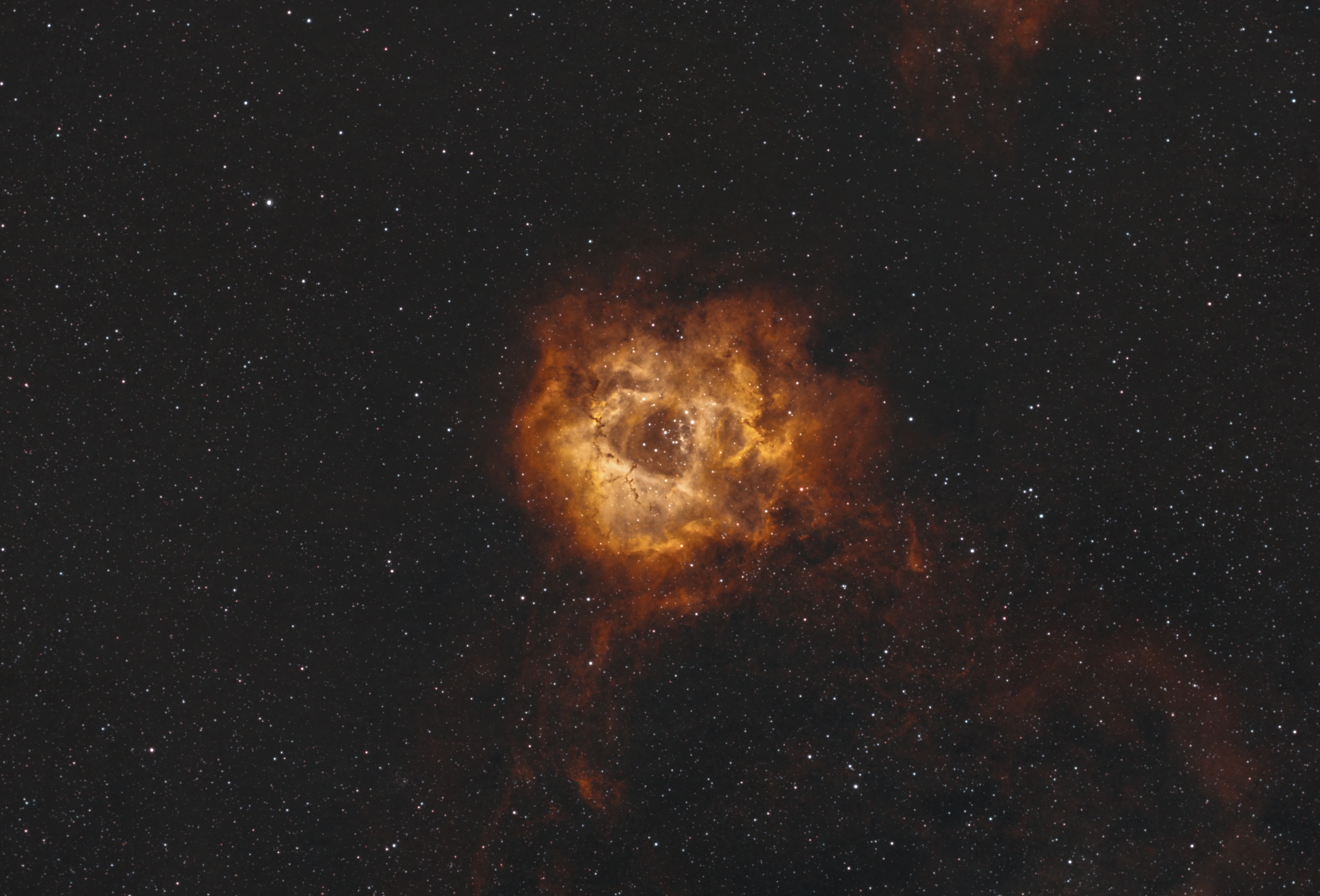 Rozetta-köd (NGC 2237)