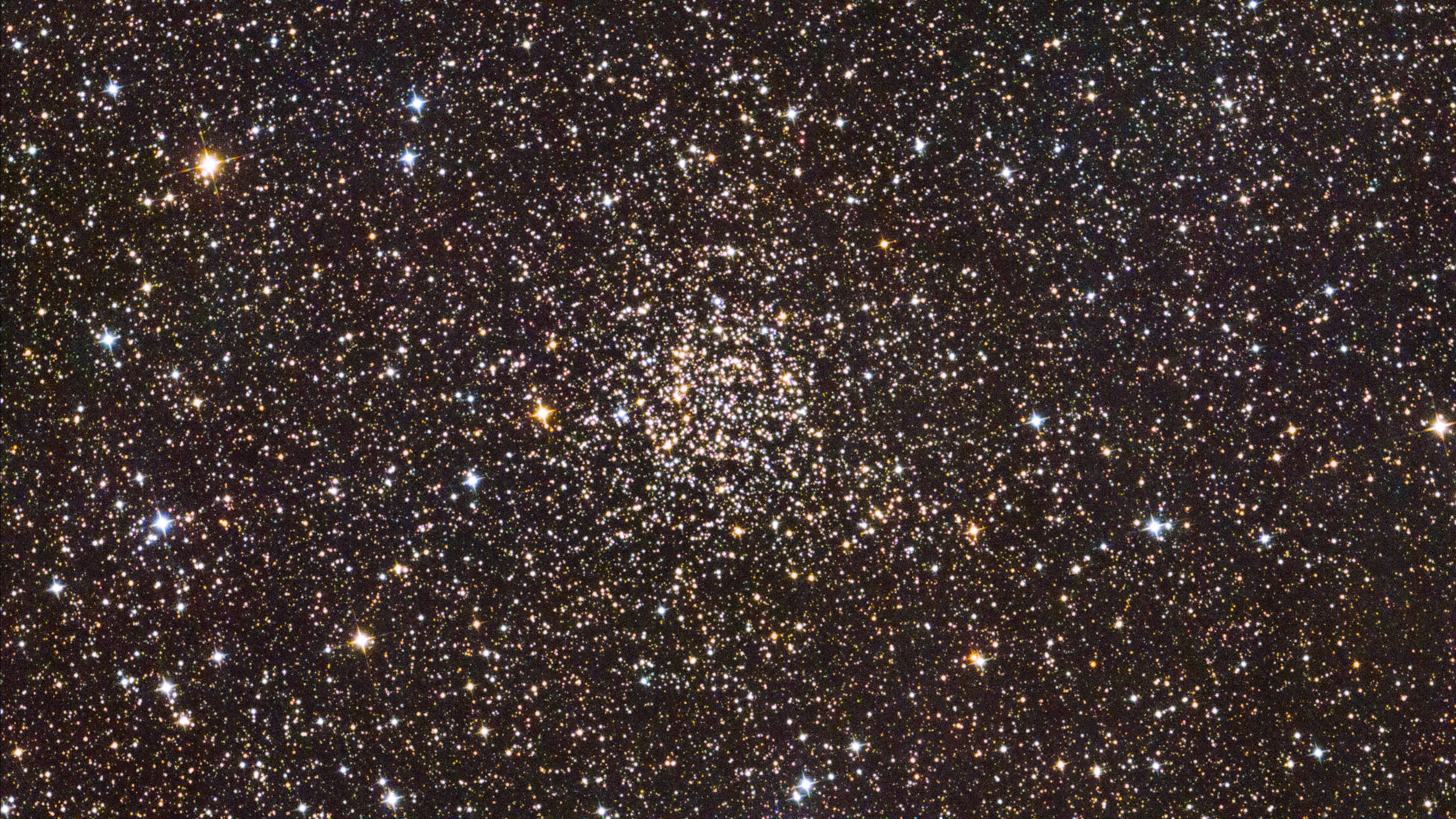 NGC-7789 Caroline Rózsája