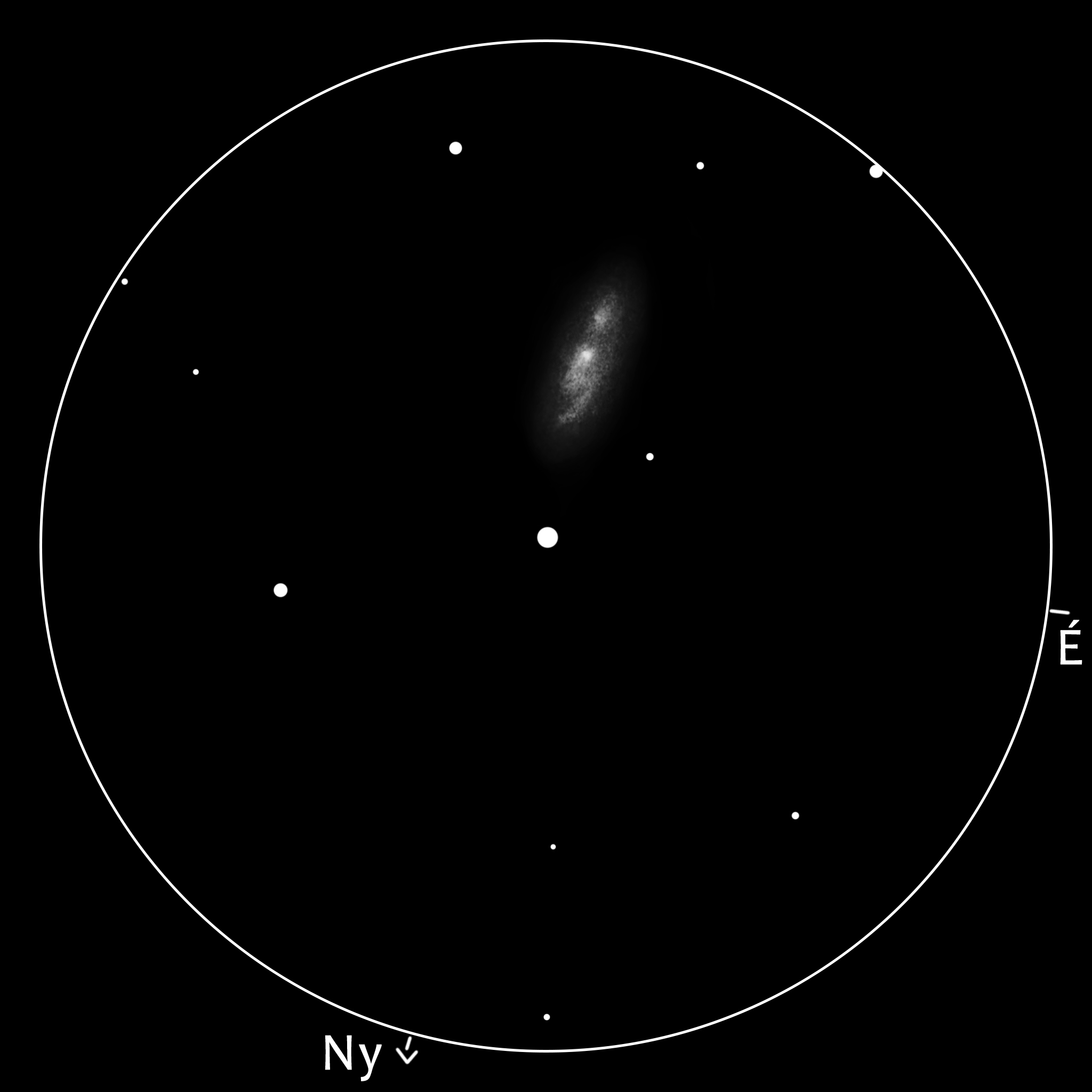 M63