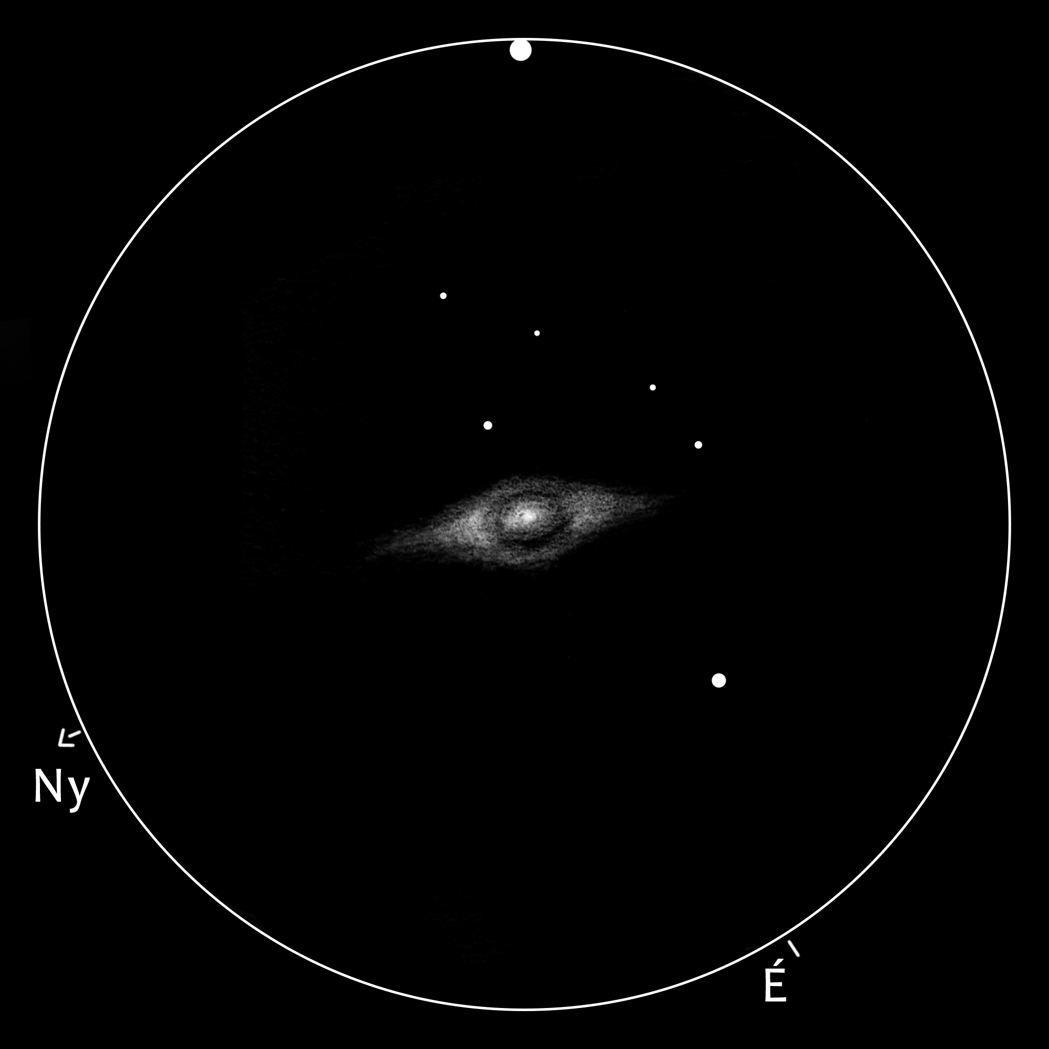 M64