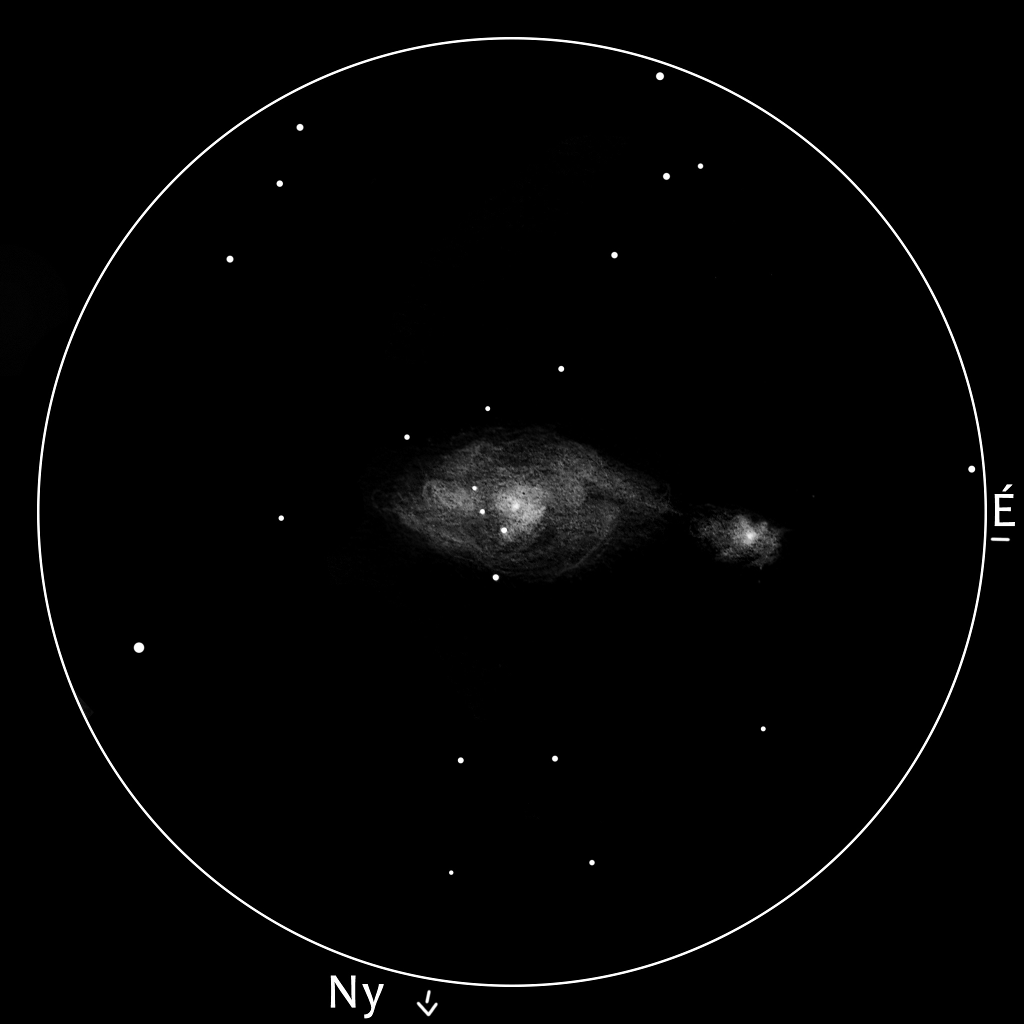 M51