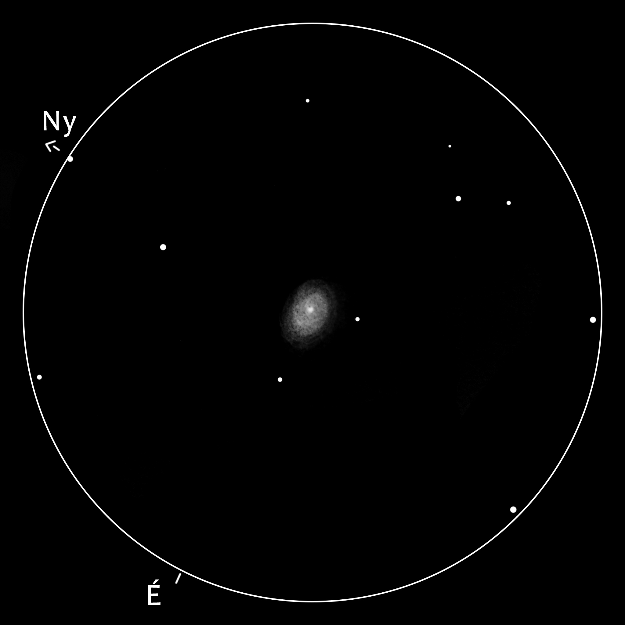 M49