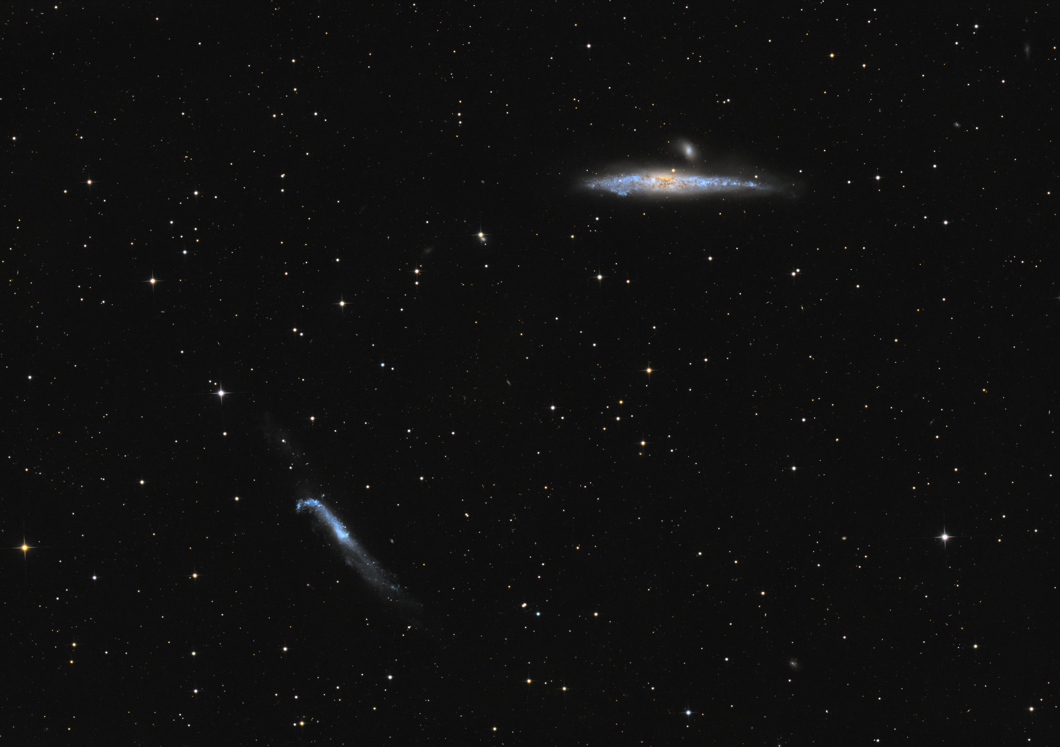 NGC 4631 és NGC 4656 - Bálna-galaxis és Pajszer-galaxis