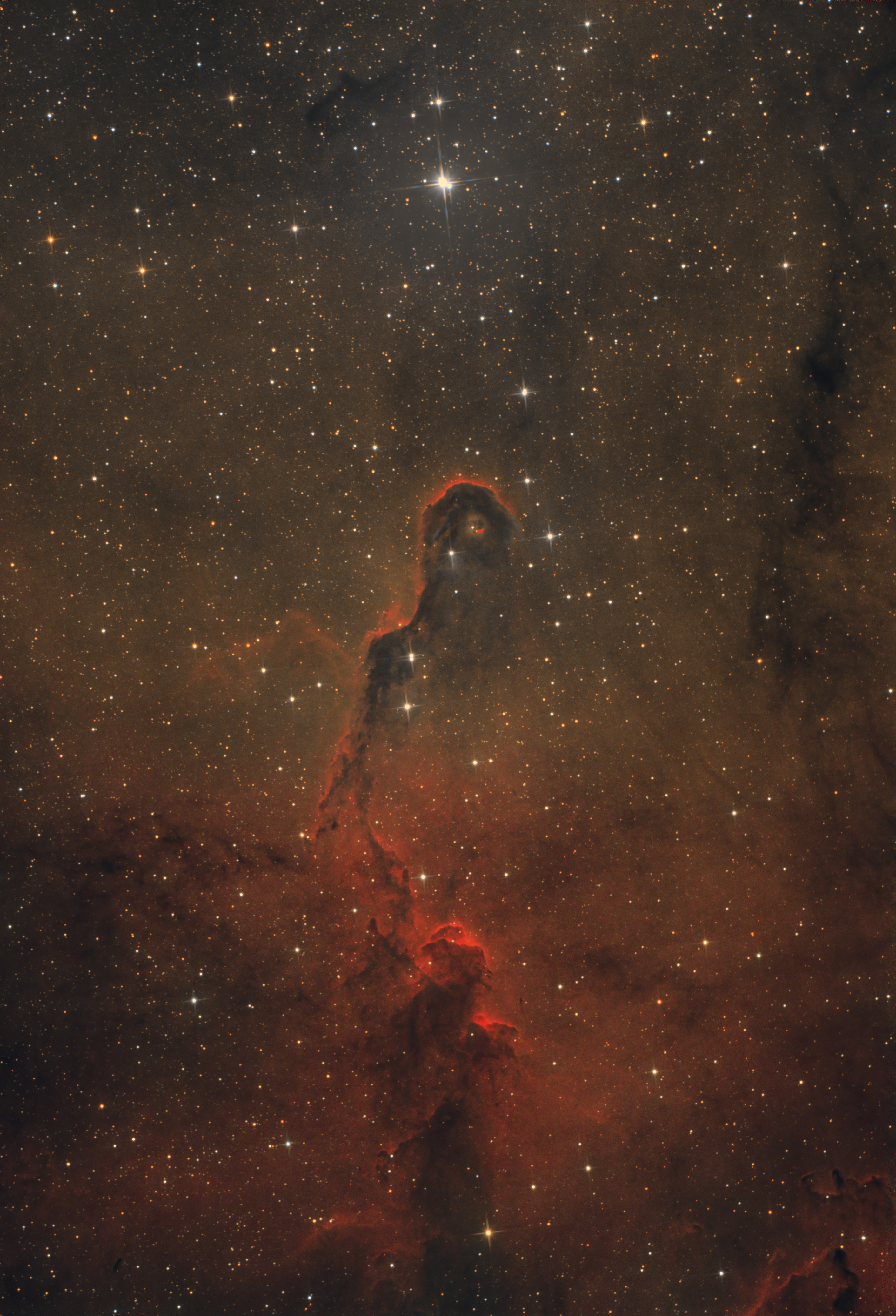 Elefántormány-köd - IC 1396A