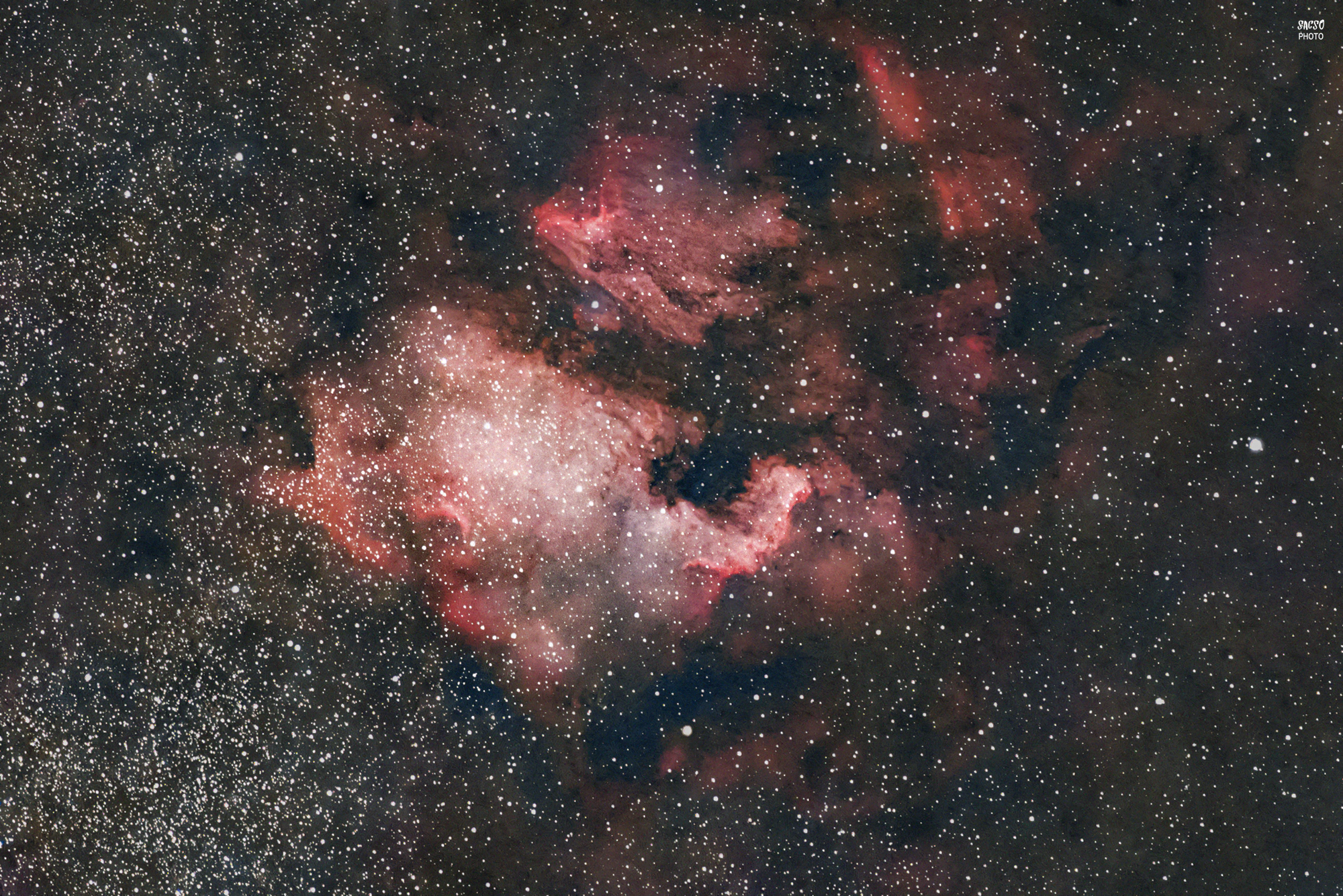 Észak-Amerika - köd (NGC 7000)