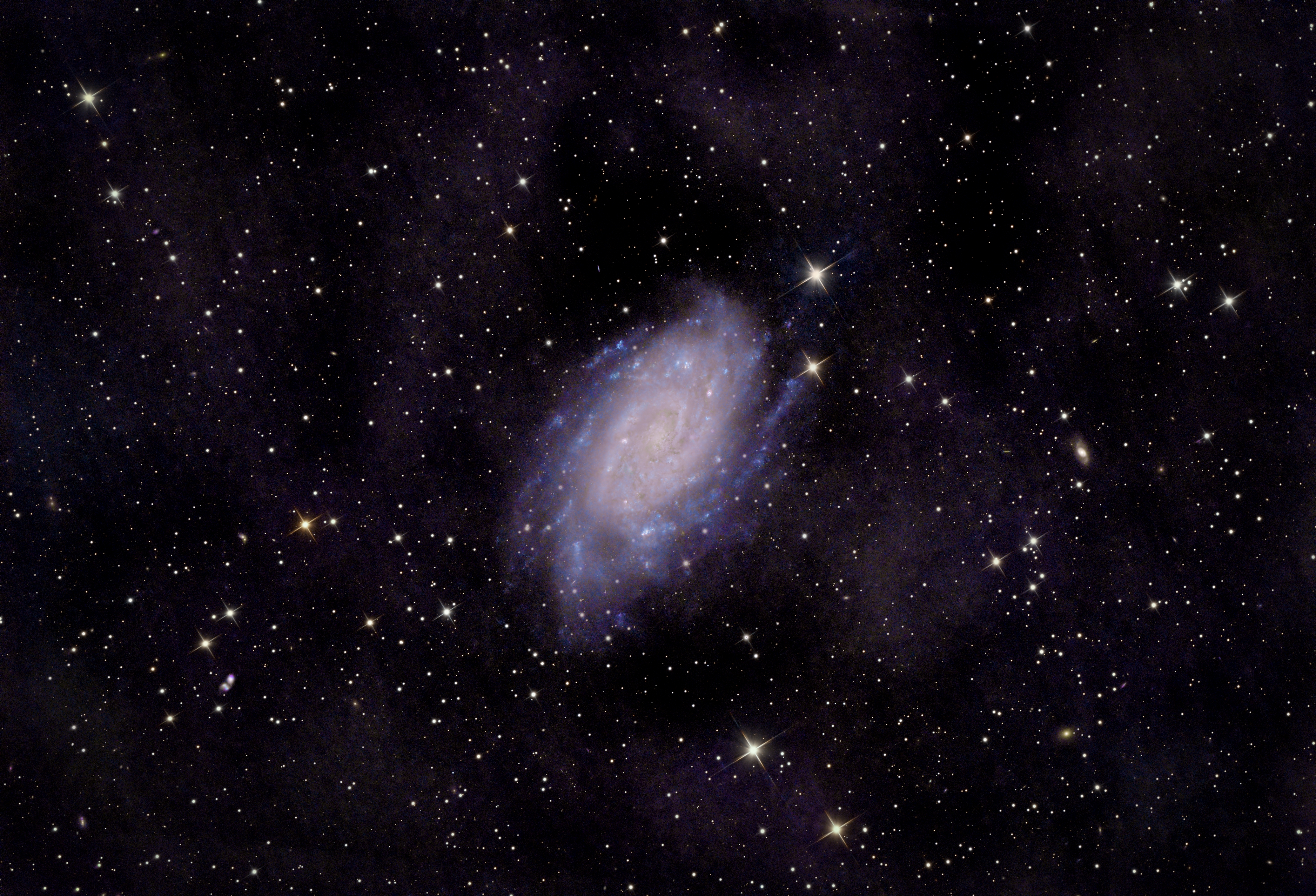 NGC 2403