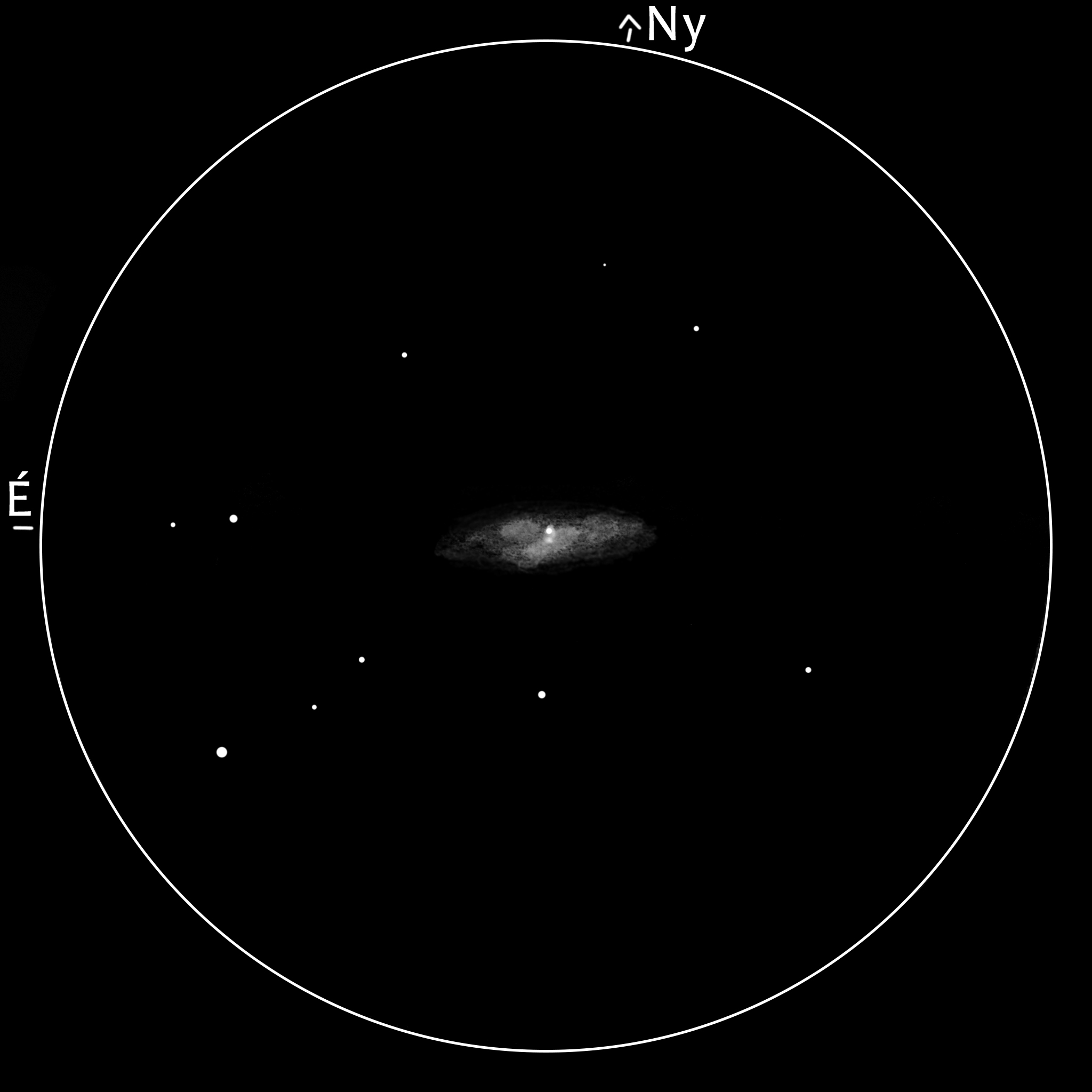 NGC 3953