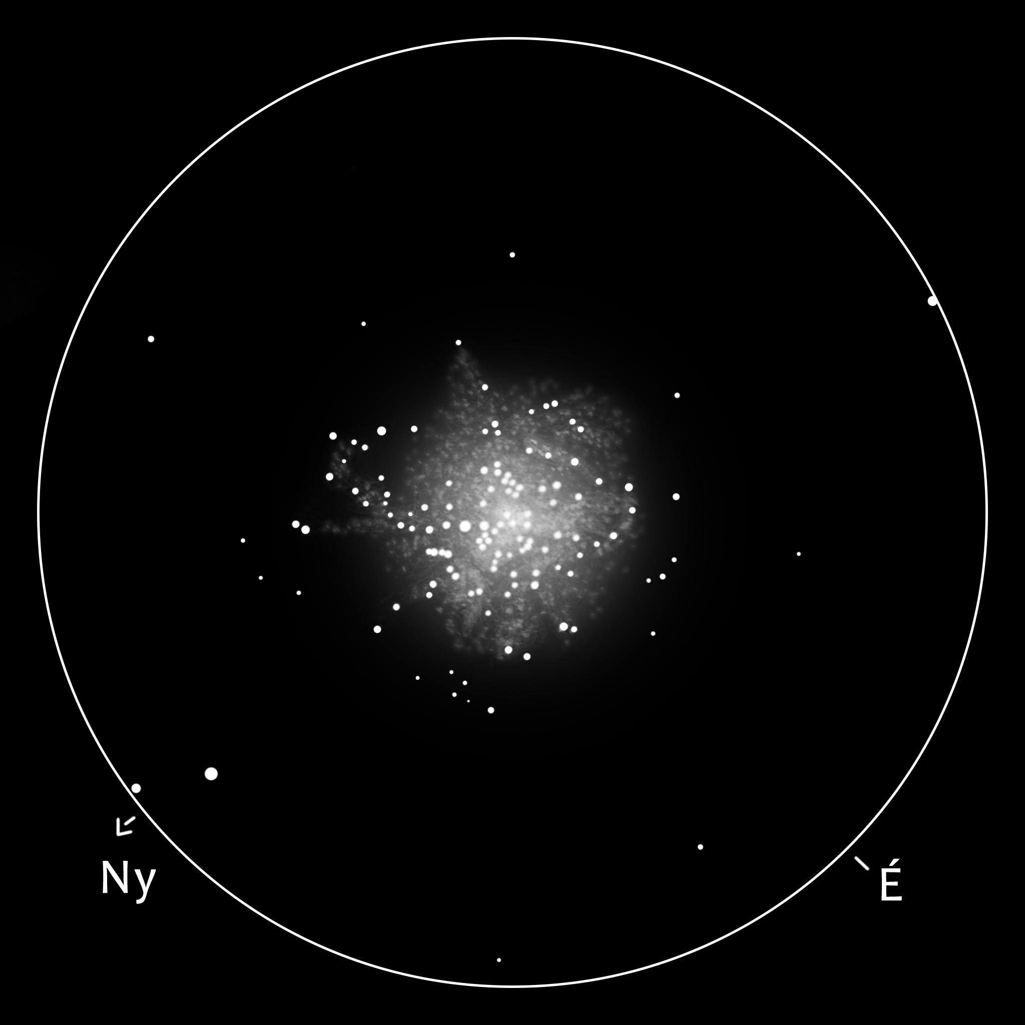 M13