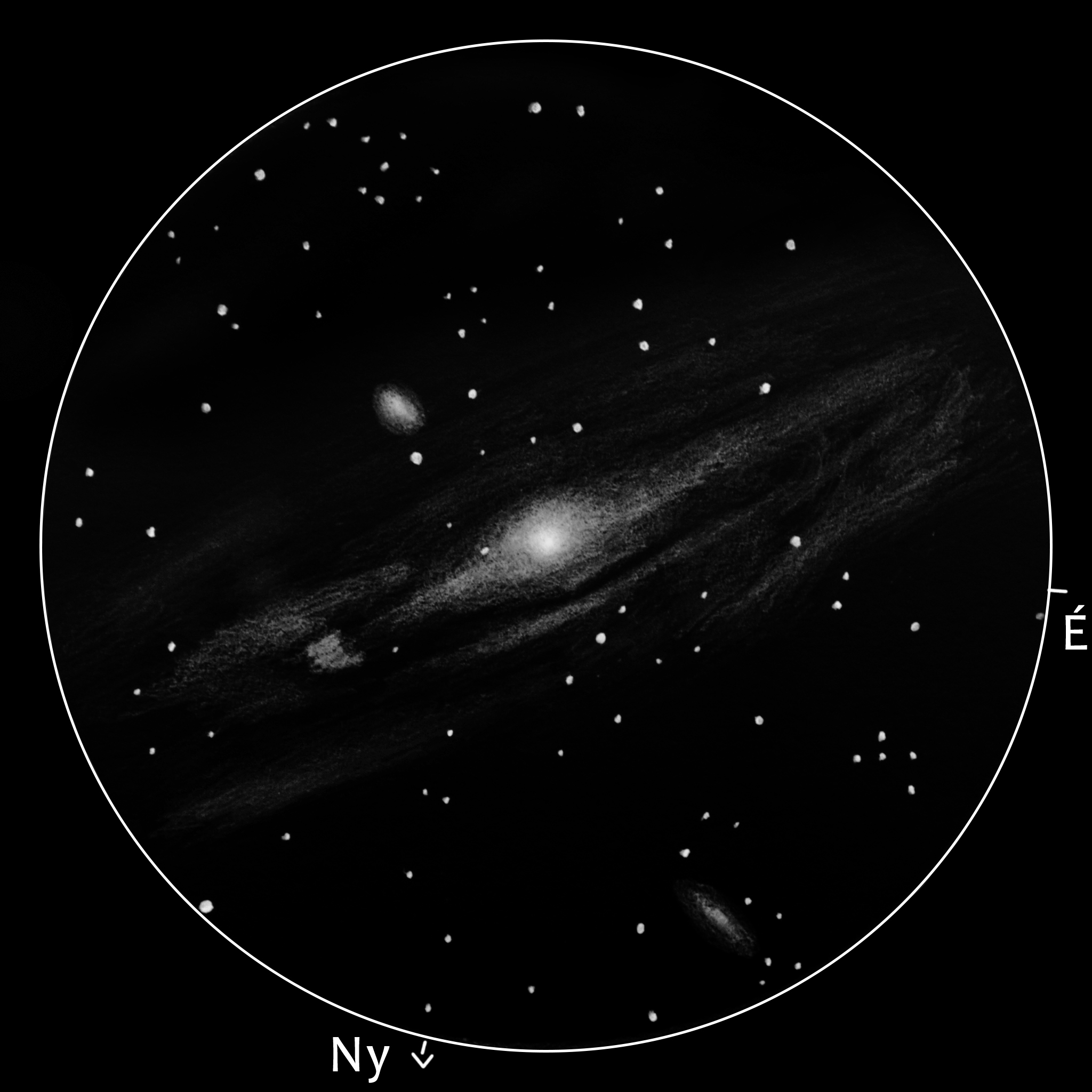 M31, M32, M110, NGC 206