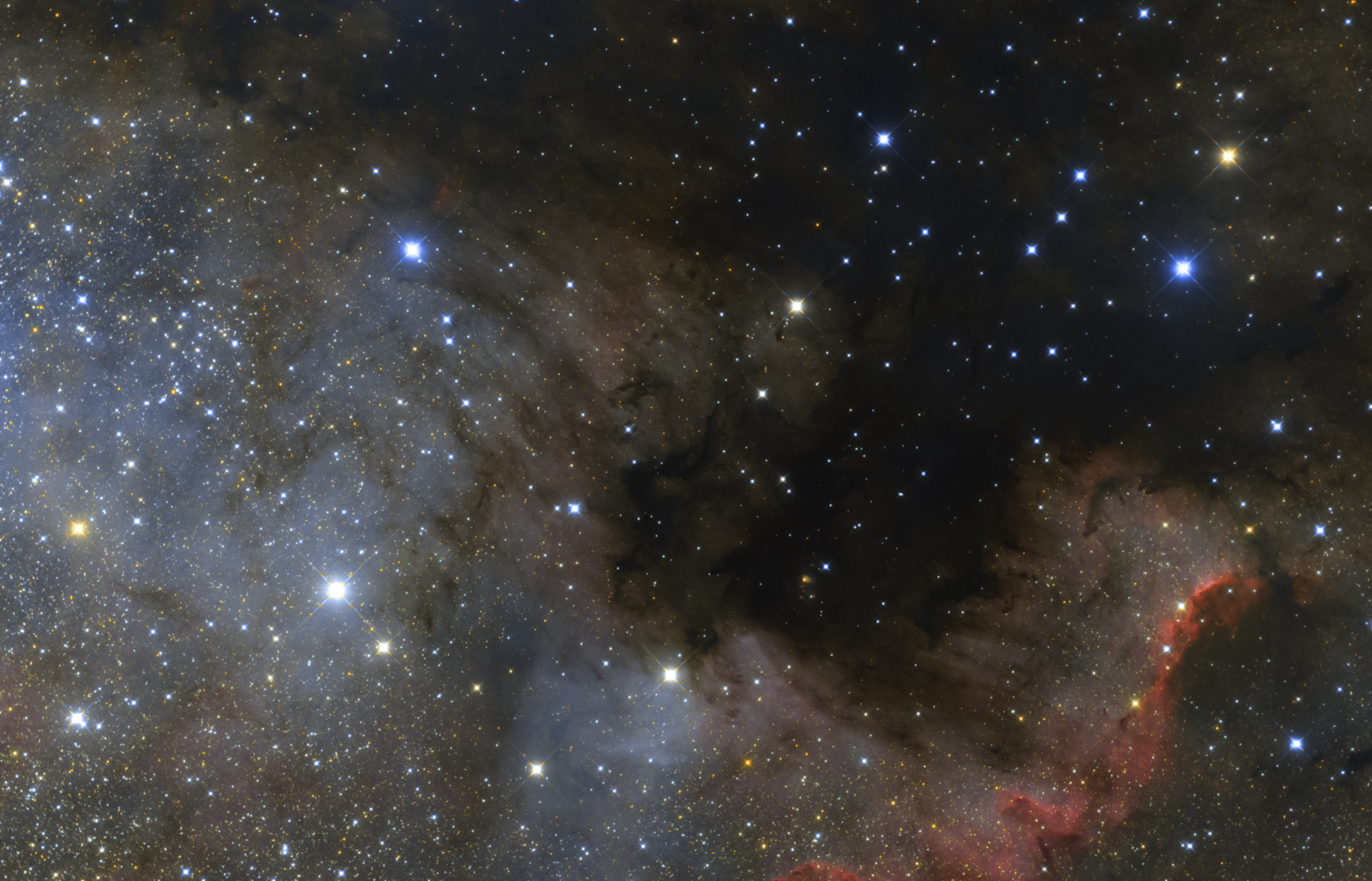 NGC 7000 - Észak-Amerika köd - First light