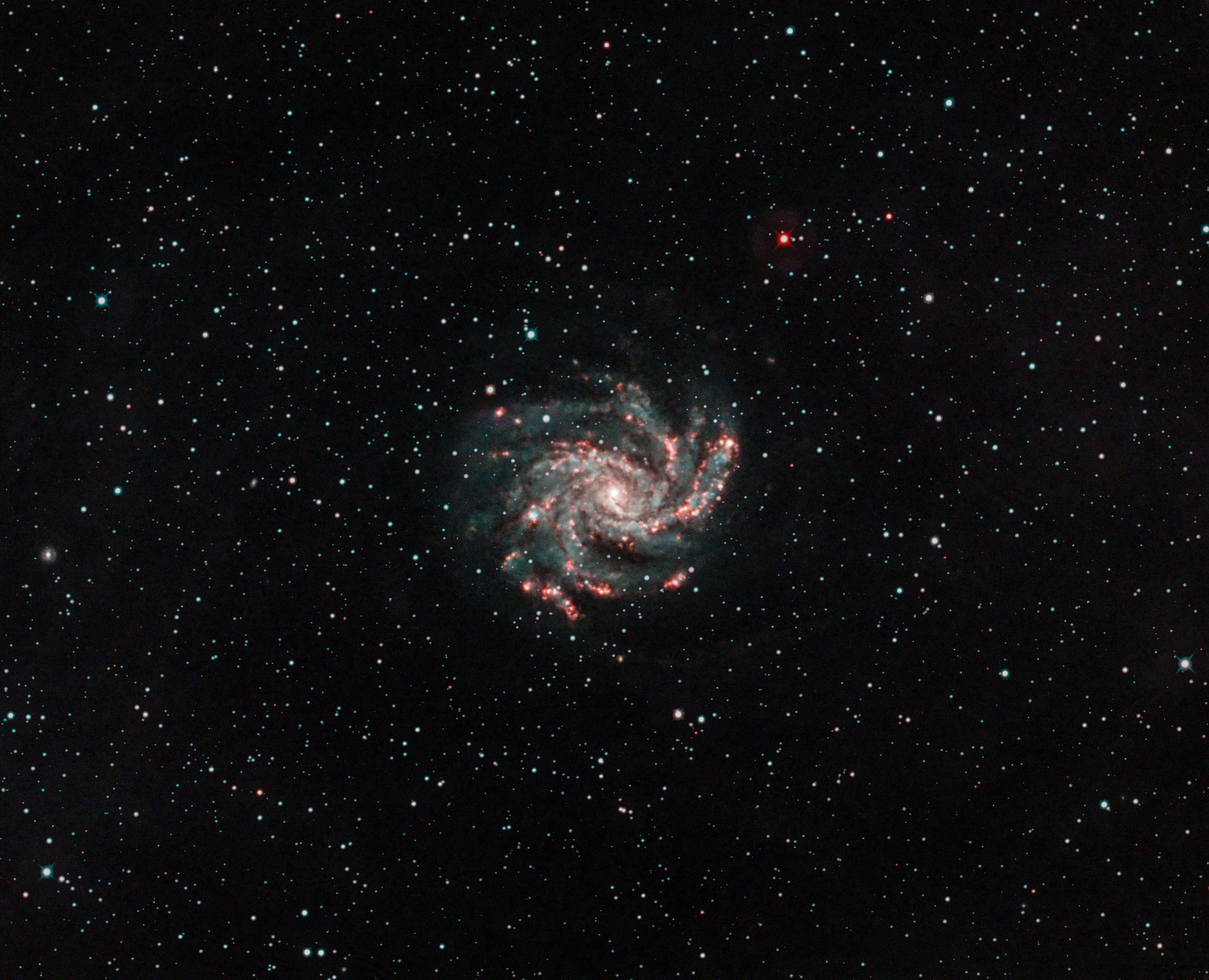 NGC 6946 Tűzijáték Galaxis