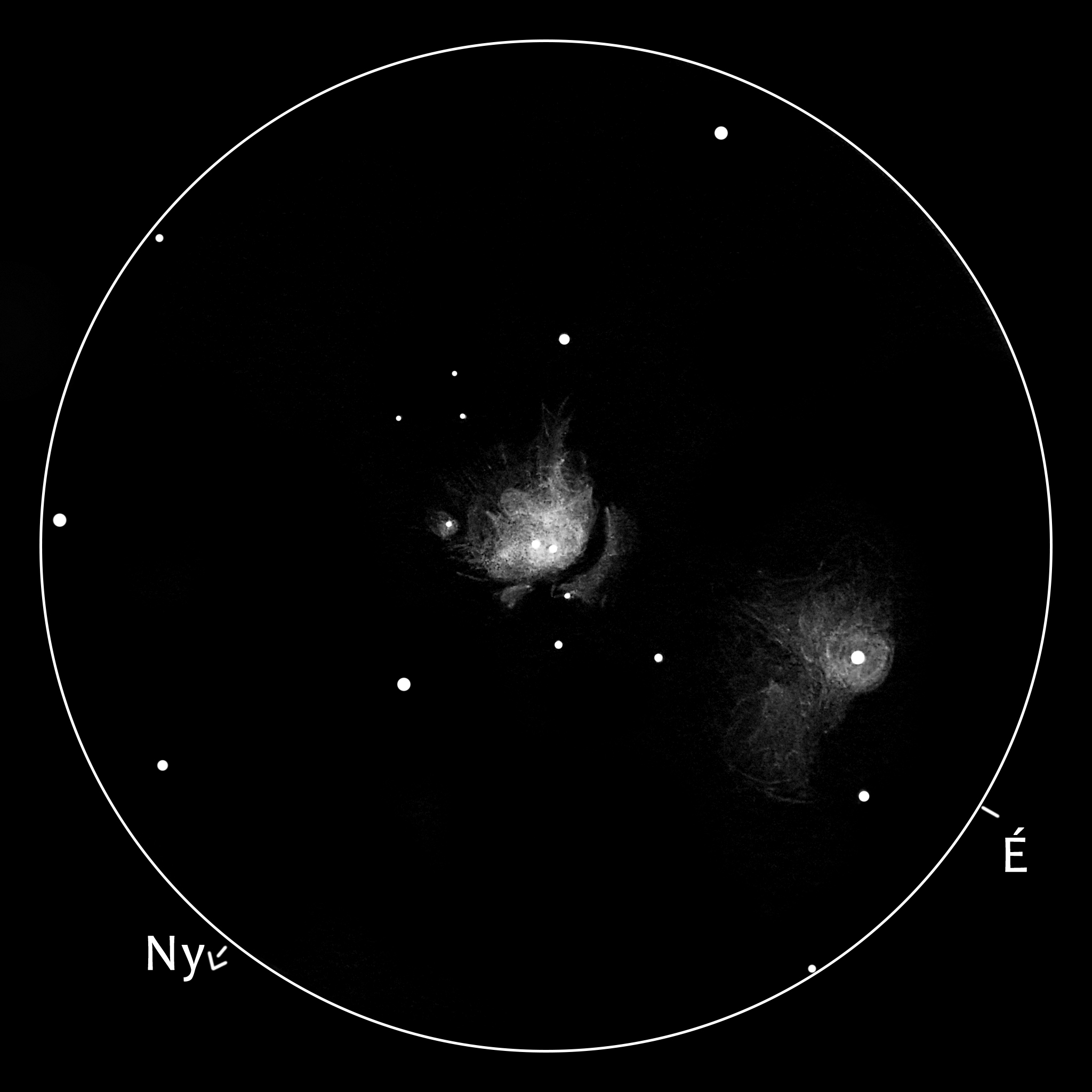 M78, NGC 2067, NGC 2071