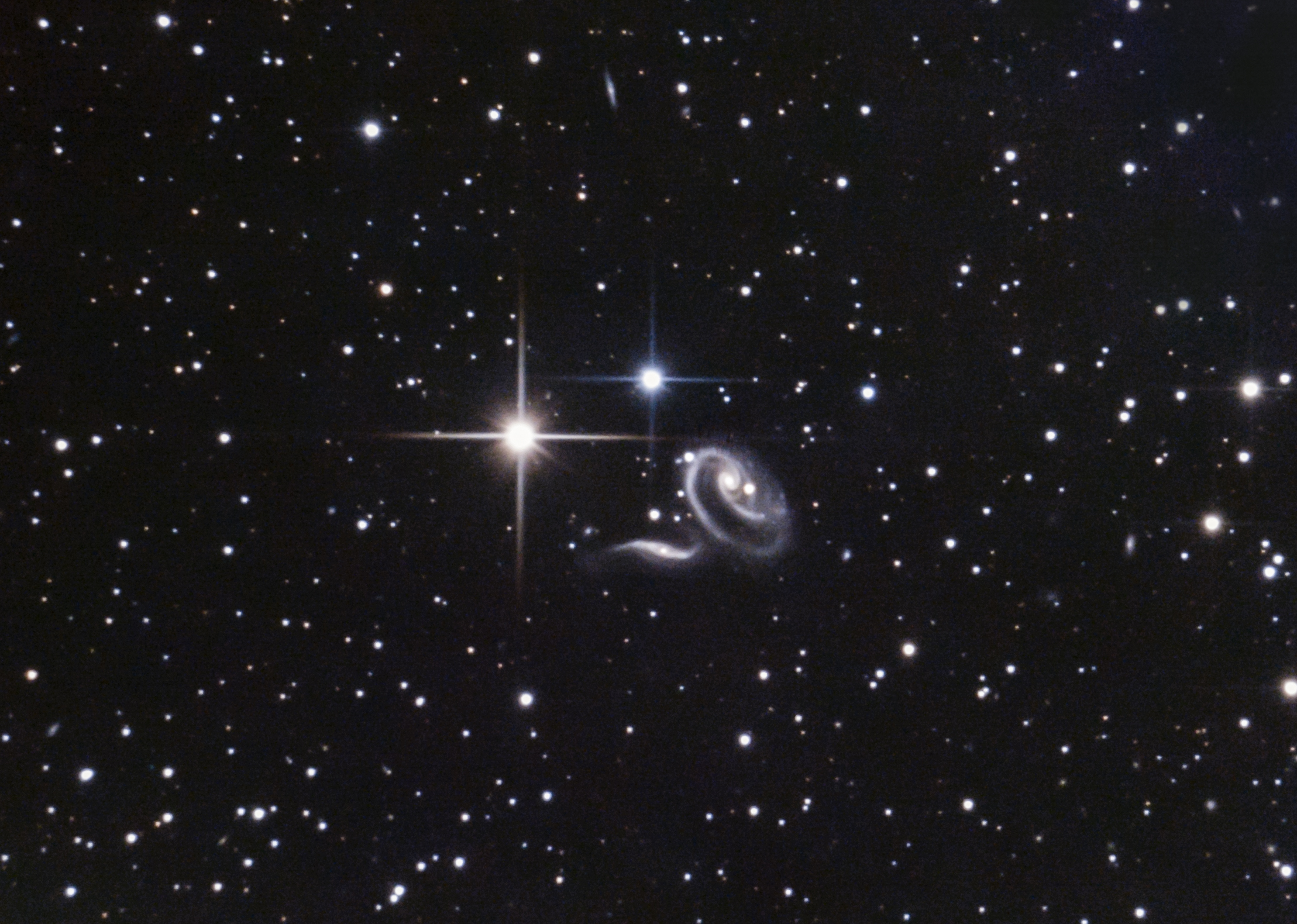 ARP 273, Rózsa galaxis