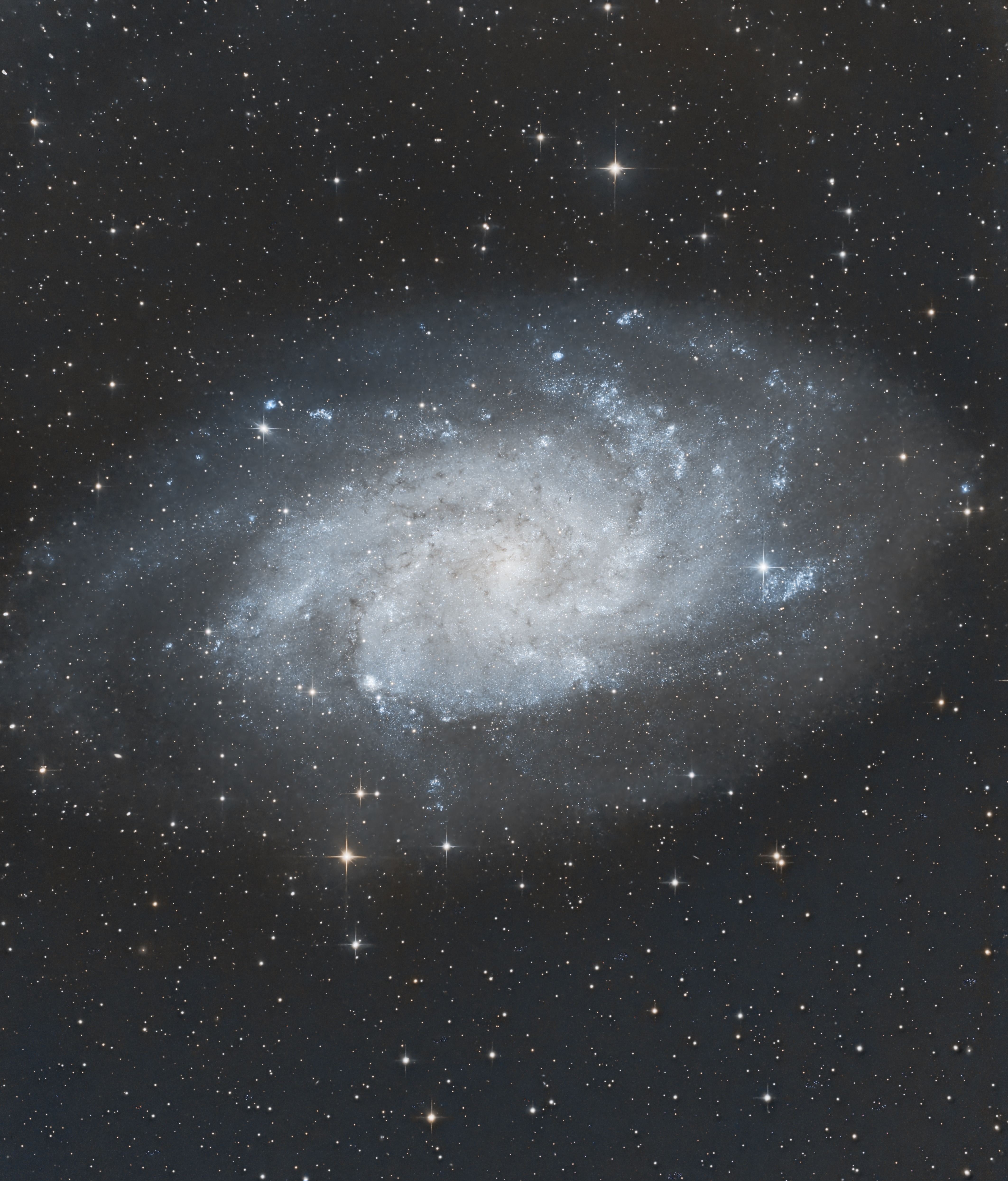 M33 (Triangulum-galaxis)