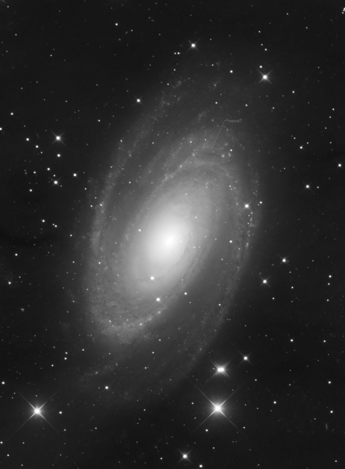 Messier 81