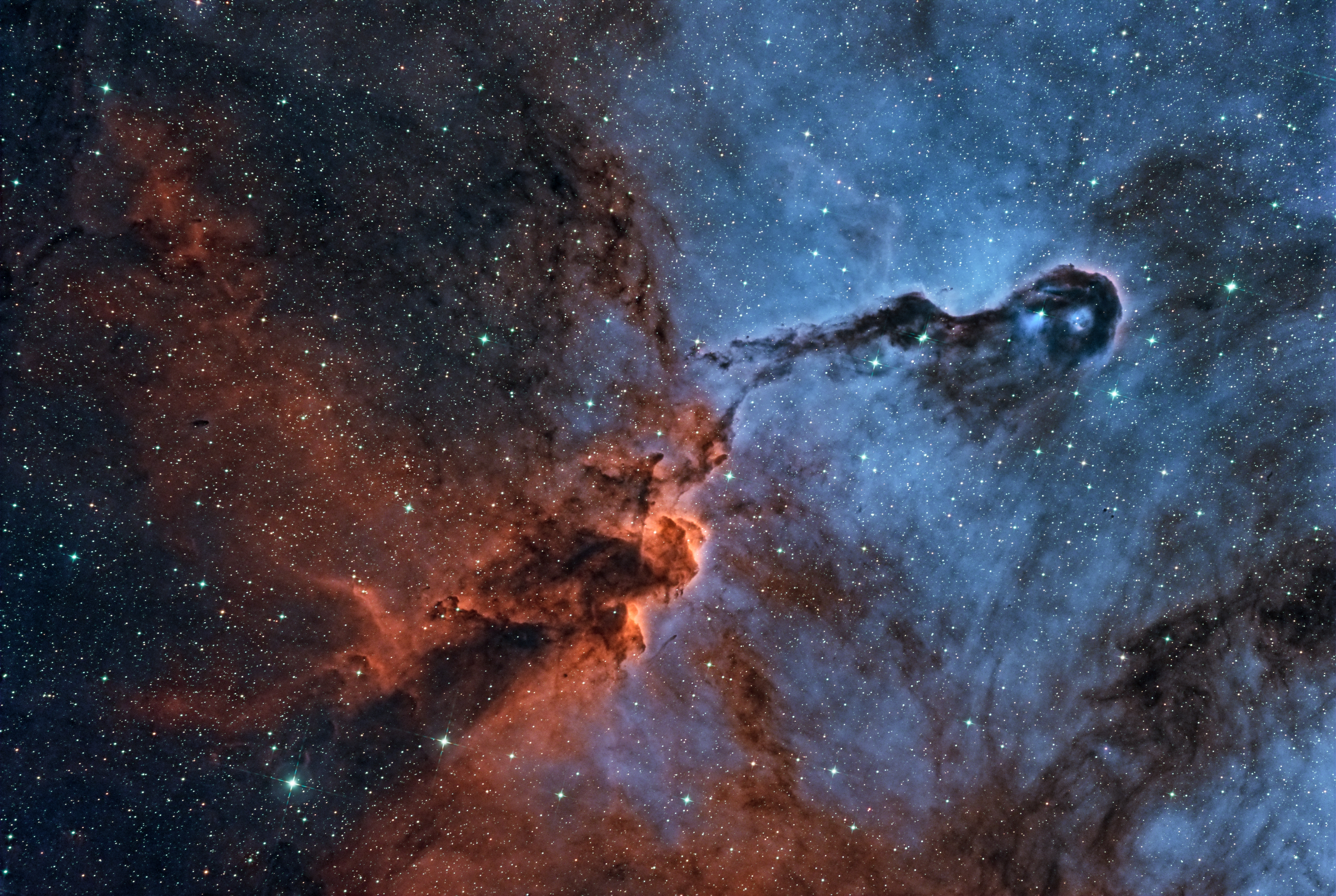 IC1396