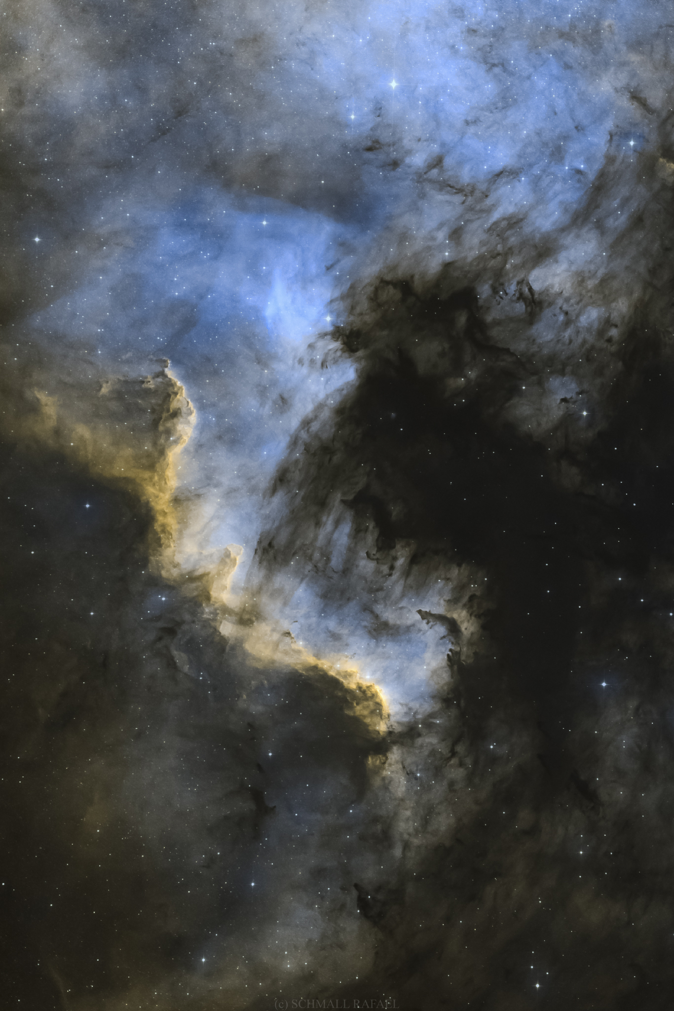 NGC 7000 - Észak-Amerika köd