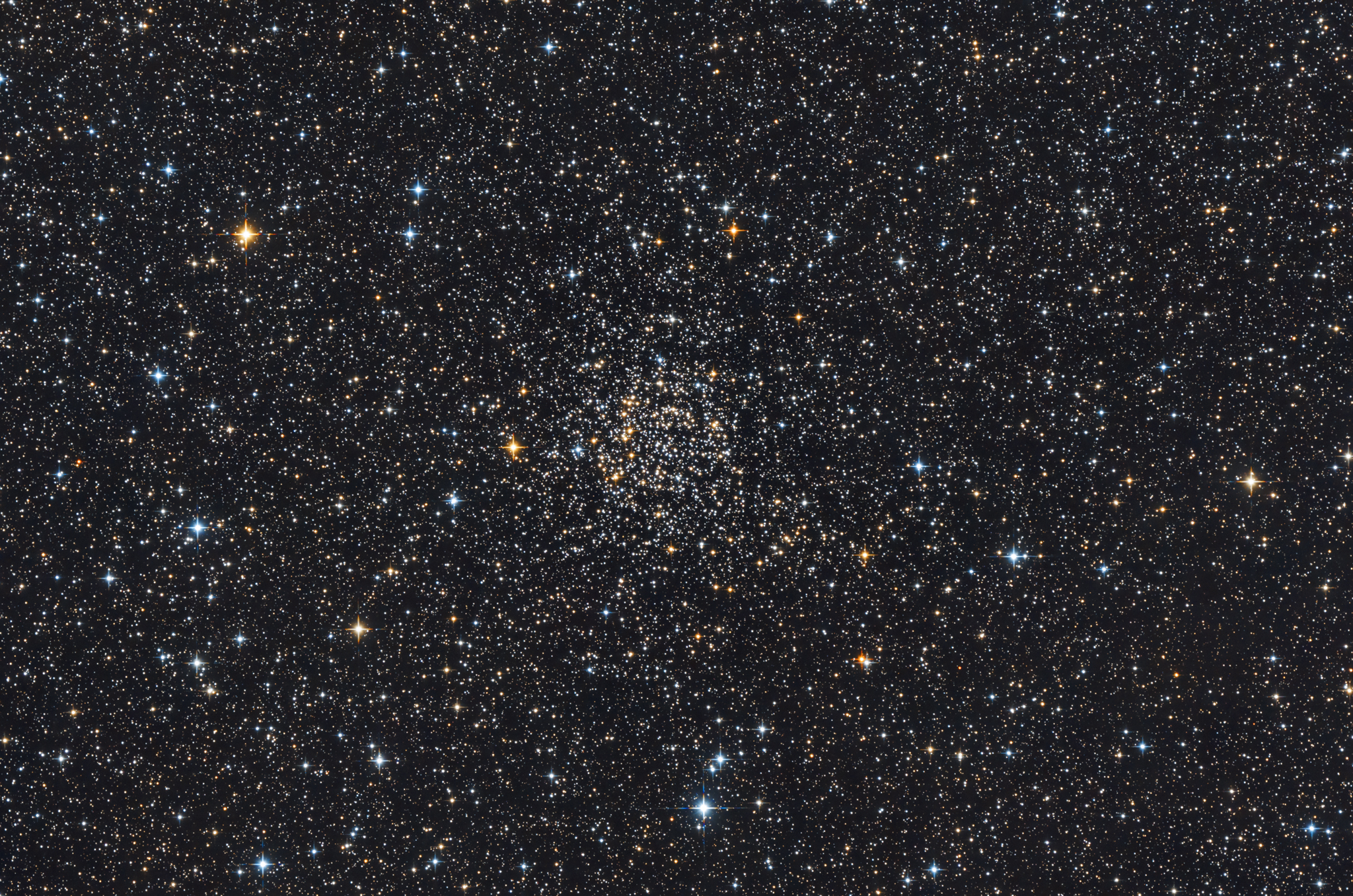 NGC 7789, Caroline rózsája