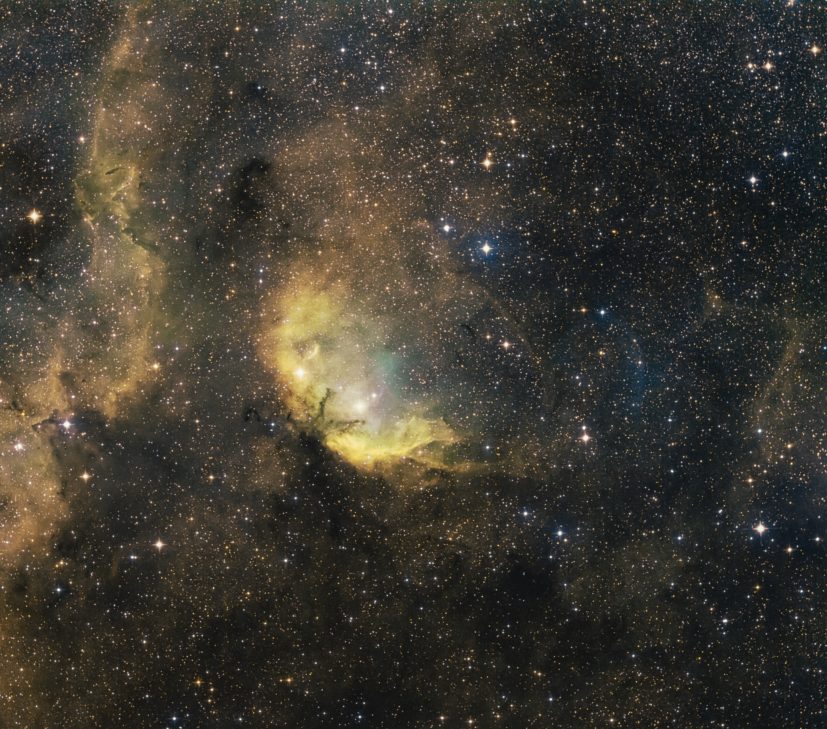 Sh2-101, Tulipán-köd