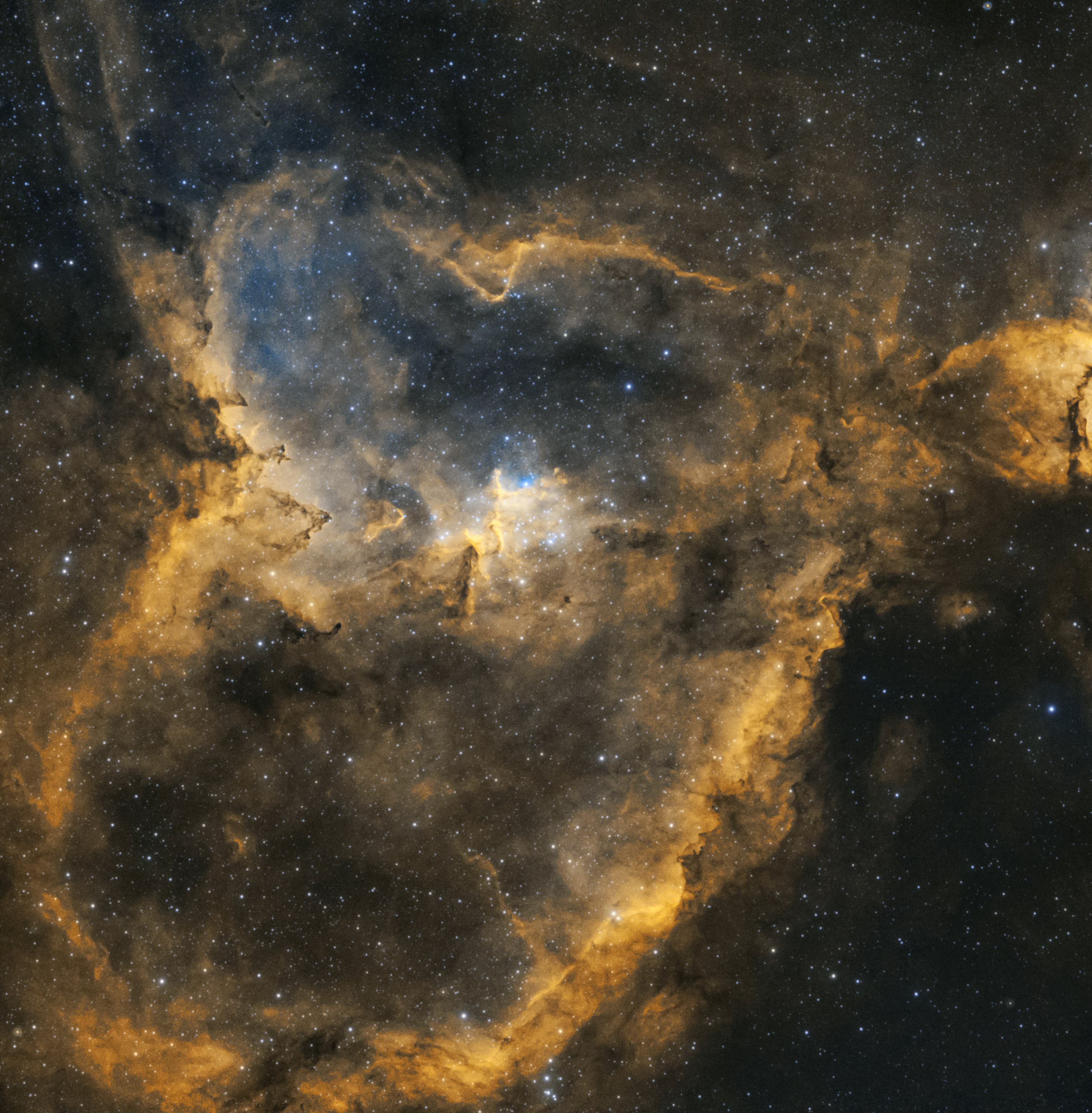 IC1805'