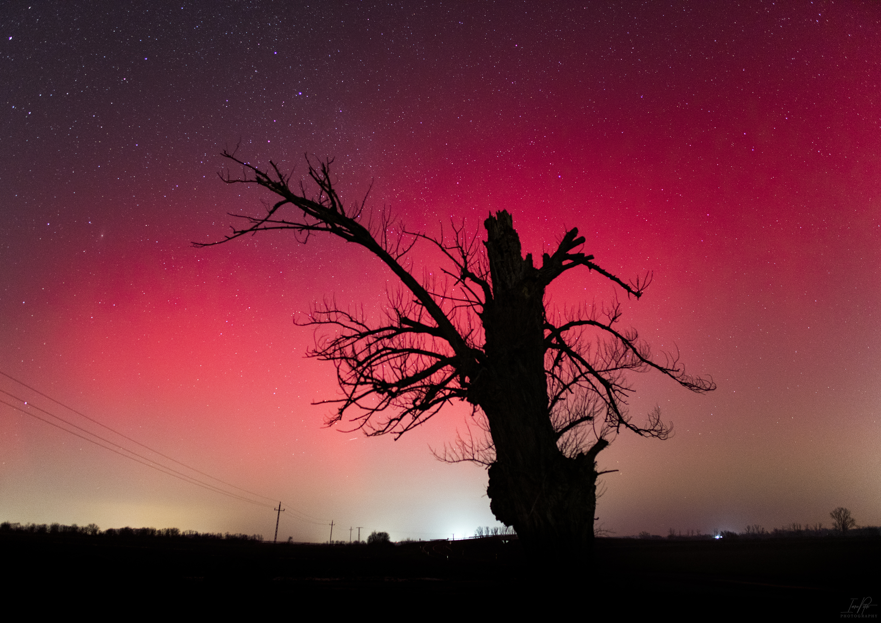 Sarki fény és az öreg nyár