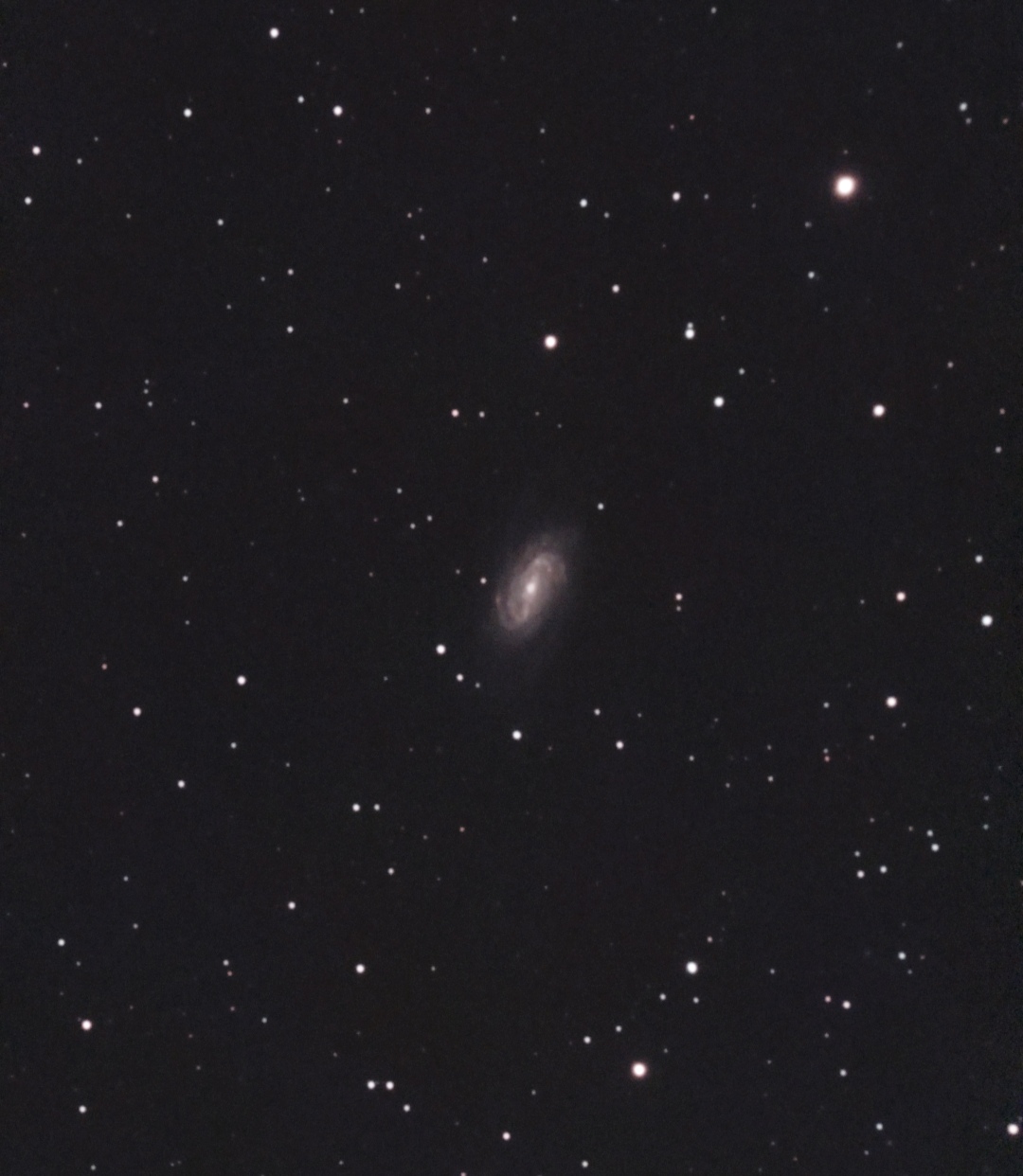 NGC 2903