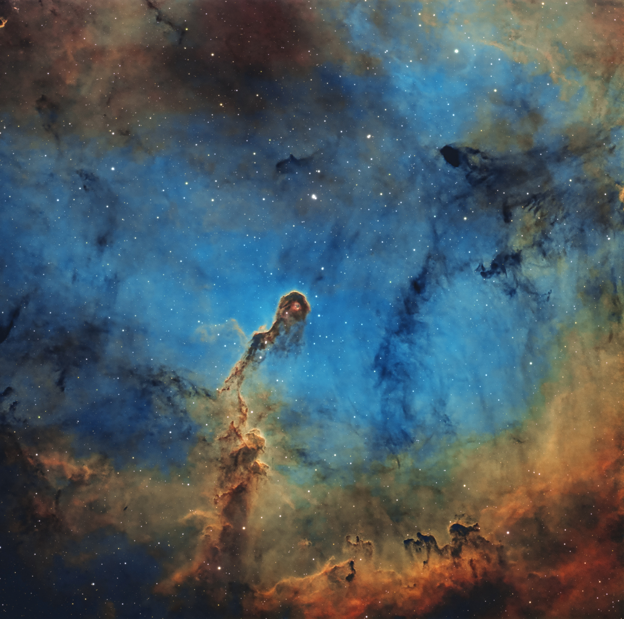 IC1396