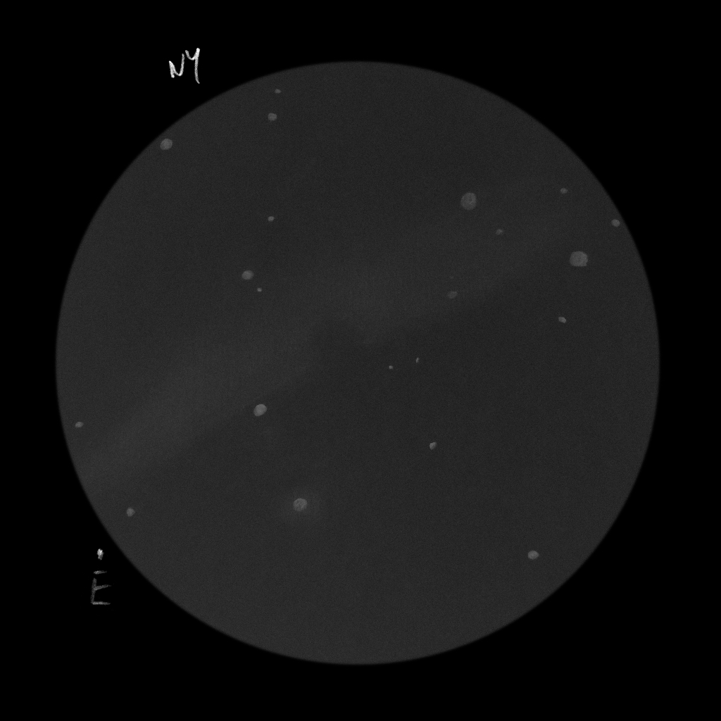 IC 434, B 33 (Lófej-köd)