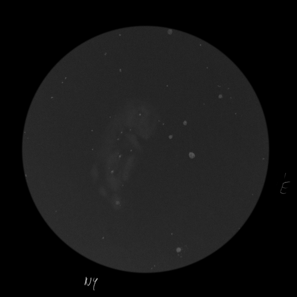 IC 1848 (Embrió-köd)
